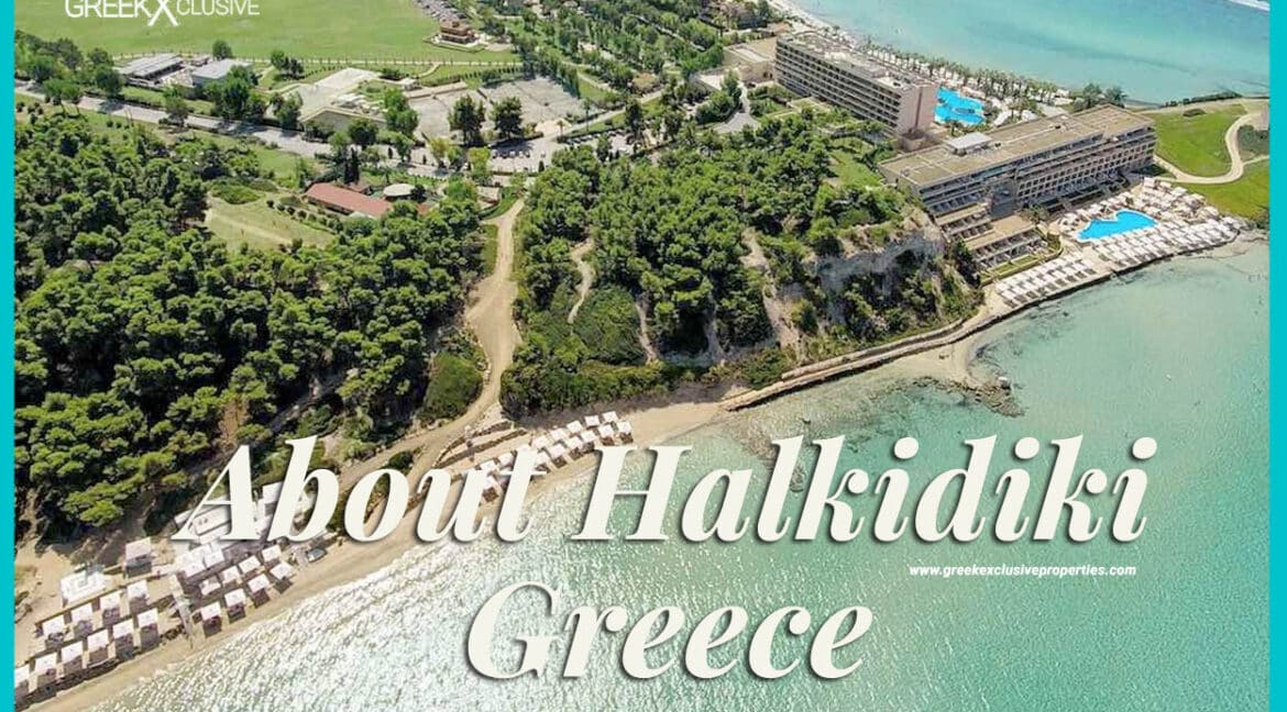 About Halkidiki, Halkidiki Properties